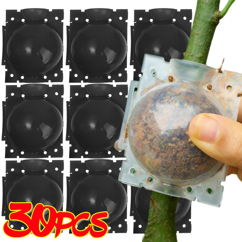 재사용 가능한 식물 뿌리화상볼 접목 도구 고압 식물 뿌 - Gardening Tools Organiser 리뷰 및 가격