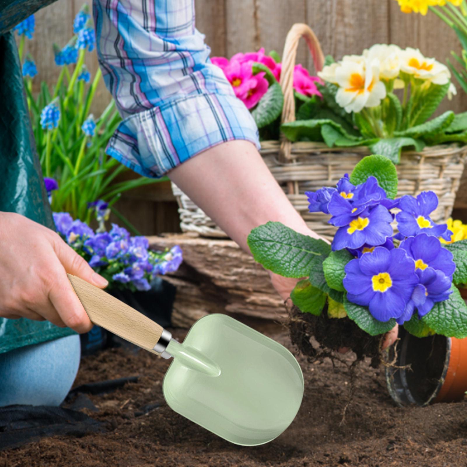 어린이 정원 가꾸기 도구 세트 가족 놀이용 삽과 갈퀴  - Gardening Tools Girly 리뷰 및 가격
