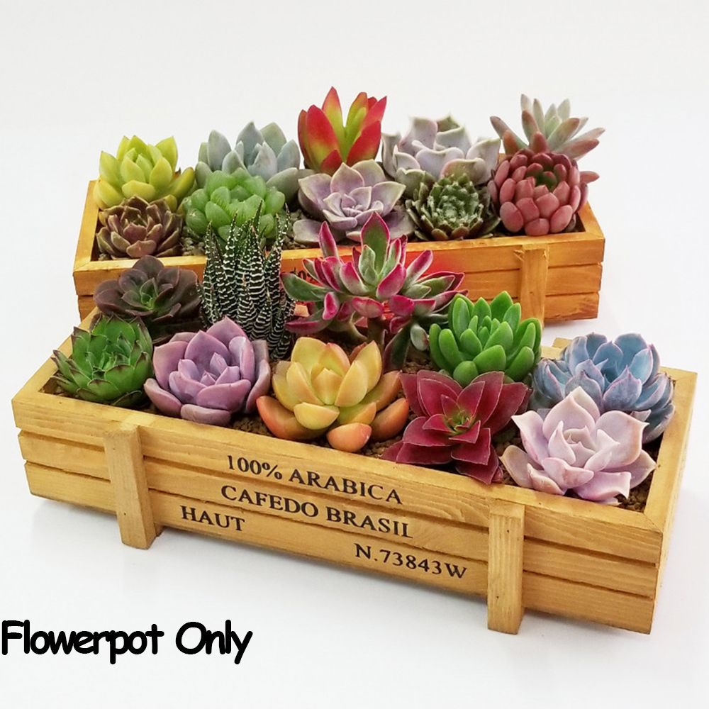 1 PC 도구 정원 장식 물마루 장식 냄비 즙이 많은  - Gardening Tools Organiser 리뷰 및 가격