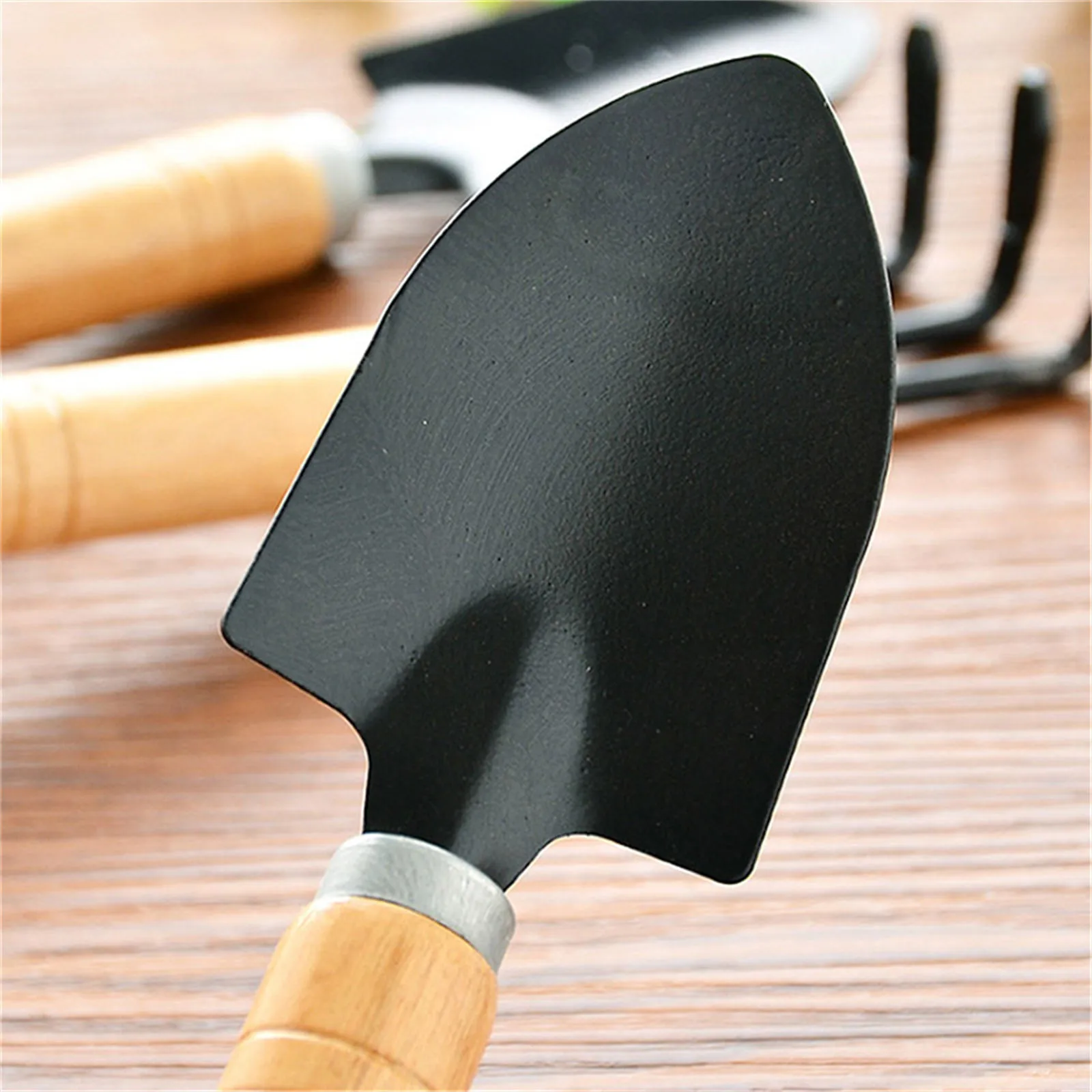 3피스 미니 정원 도구 세트, 다육 식물 분재 관리를  - Gardening Tools Trowel 리뷰 및 가격