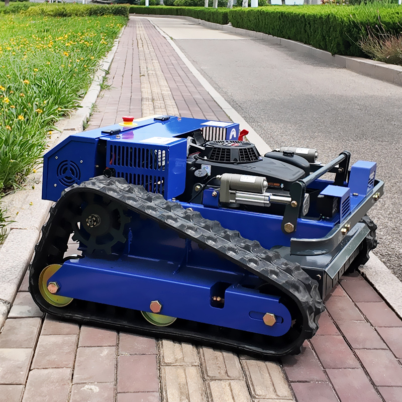 맞춤형 CE EPA 인증 소형 로봇 잔디깎이 500mm - Gardening Tools Lawn Mower 리뷰 및 가격